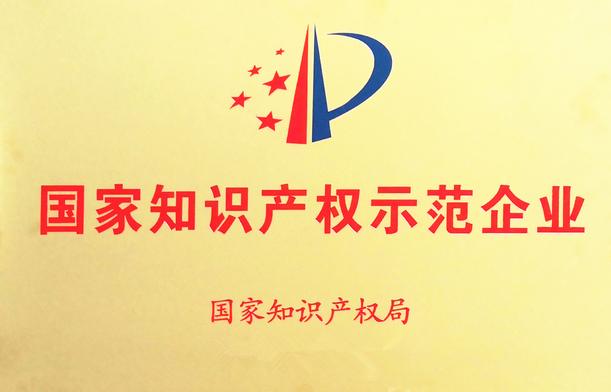 國家知識產(chǎn)權(quán)示范企業(yè).jpg